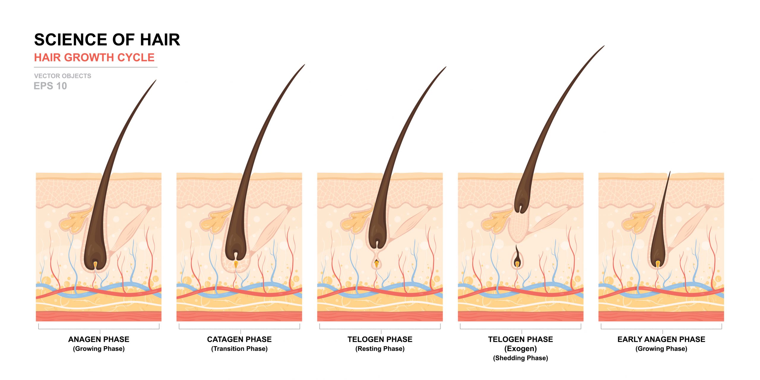 101: Everything You Need Know About Generic Rogaine® - Hair Transplant